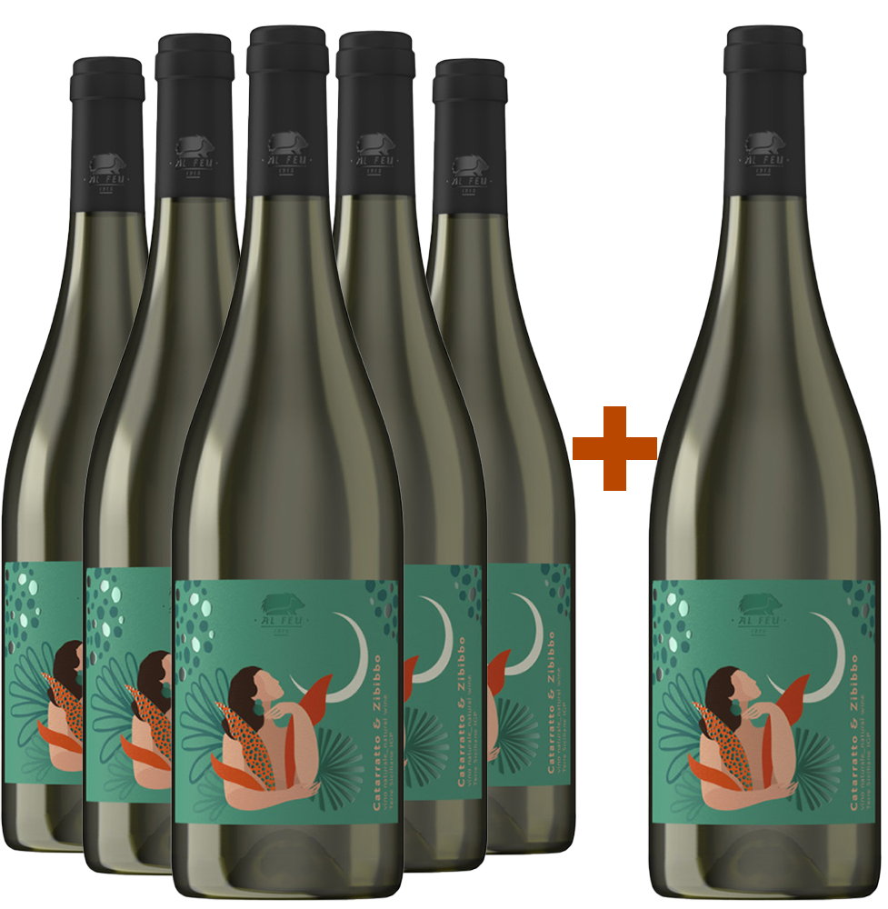 5+1 Catarratto Zibibbo Terre Siciliane IGP