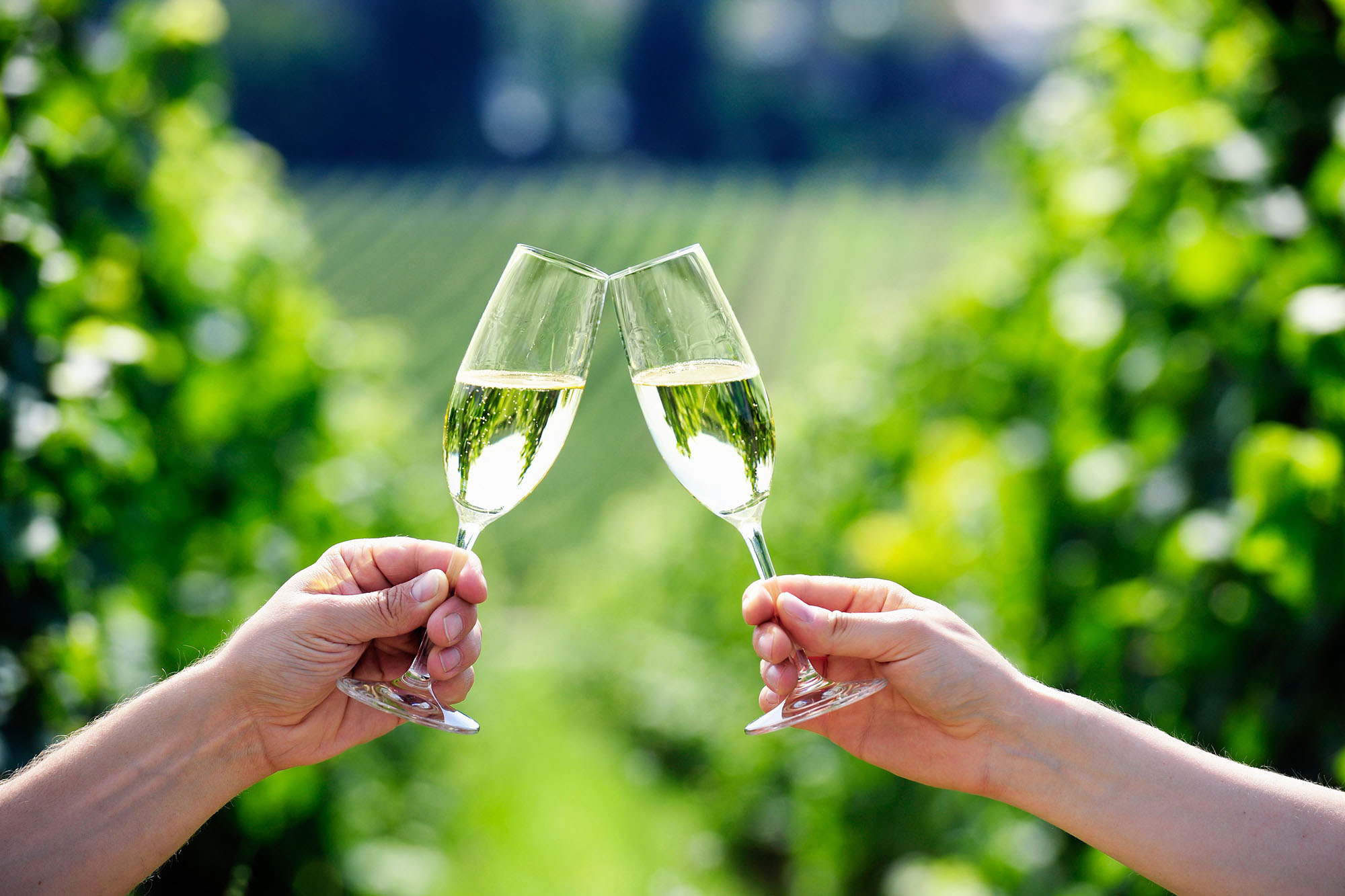 Brindisi con calici di spumante Brut all’aperto