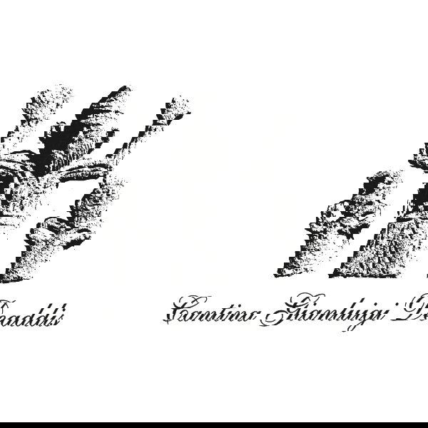 Cantina Gianluigi Deaddis