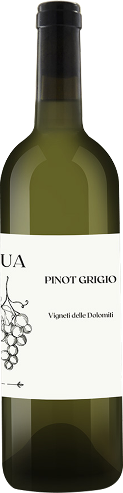 2023 Pinot Grigio Vigneti delle Dolomiti IGP