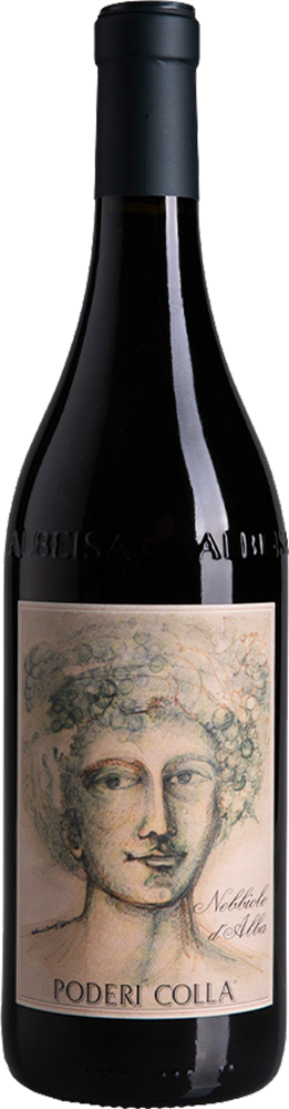 2023 (3,000) NEBBIOLO D'ALBA Drago Cassa Legno/Pod 3,0 L reflection