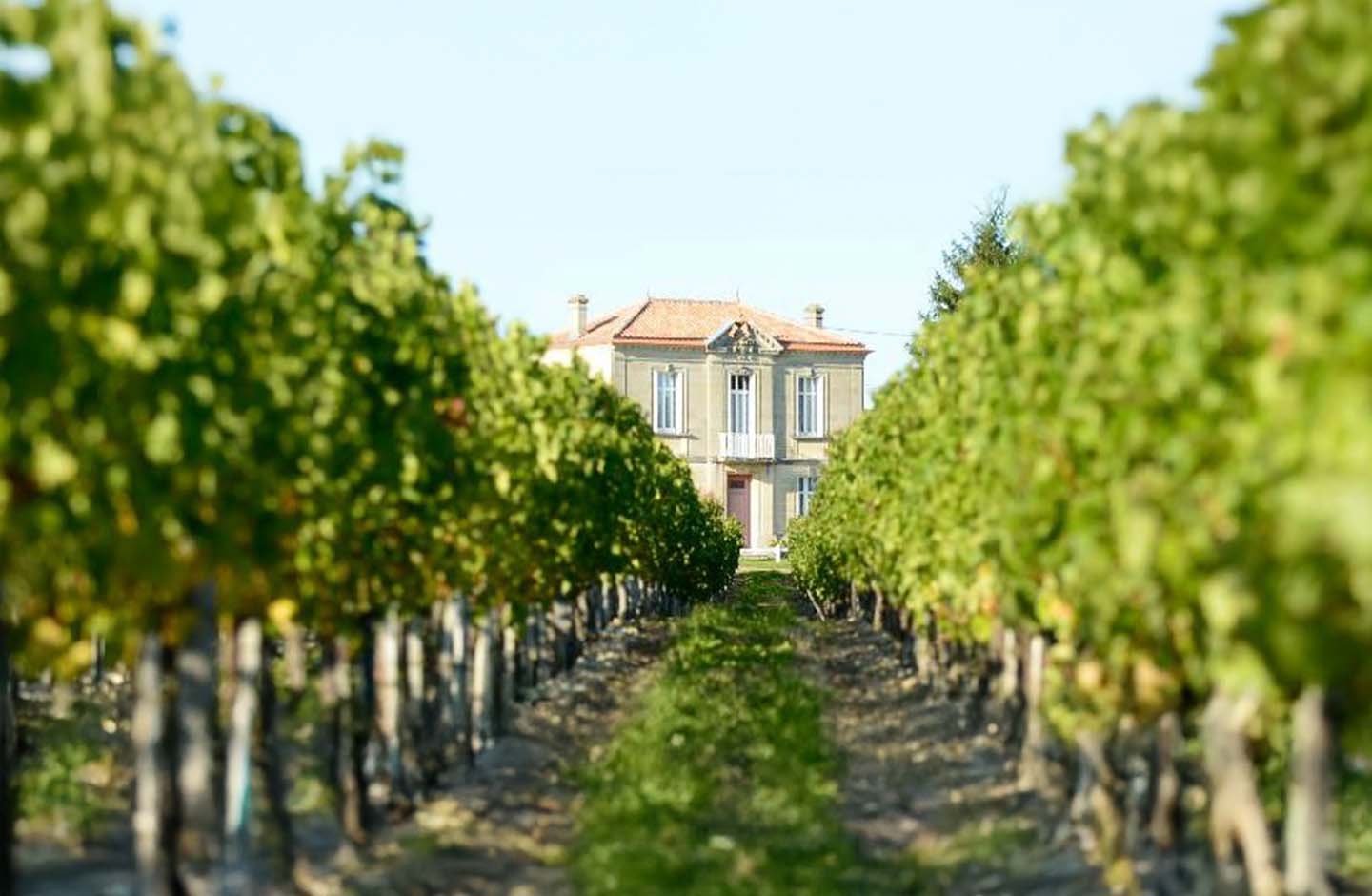 Château Haut Canteloup