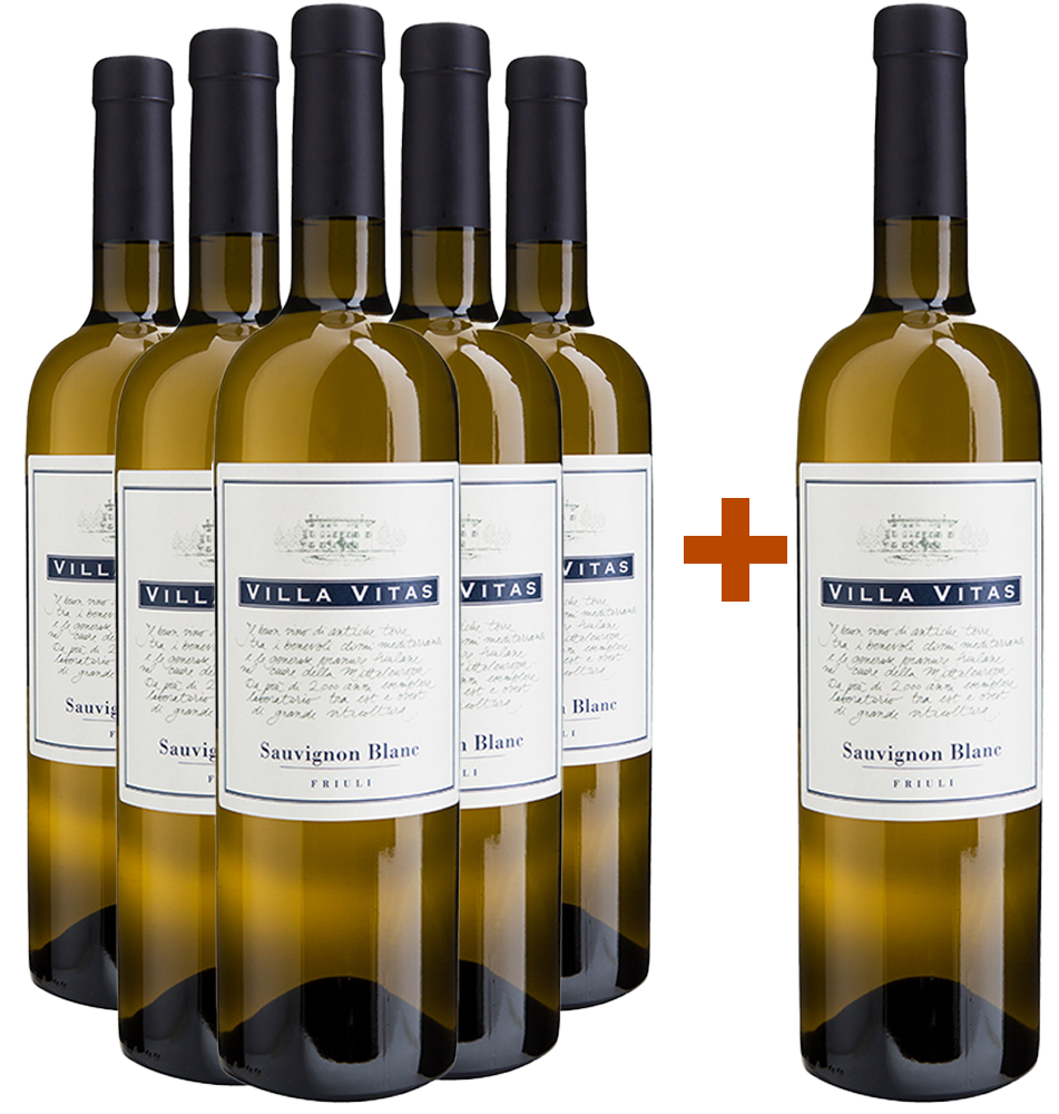 5+1 Sauvignon Friuli DOC