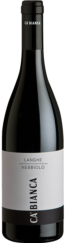 2024 Nebbiolo Langhe DOC