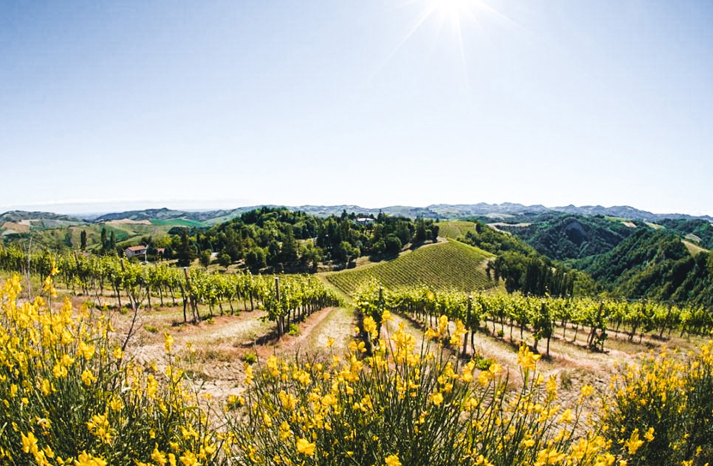 Podere Riosto