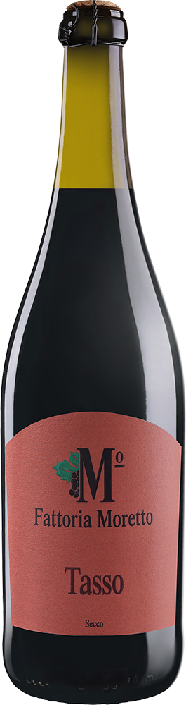 2024 Tasso Lambrusco Grasparossa di Castelvetro DOC