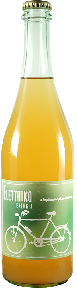 2022 Elettriko Energia