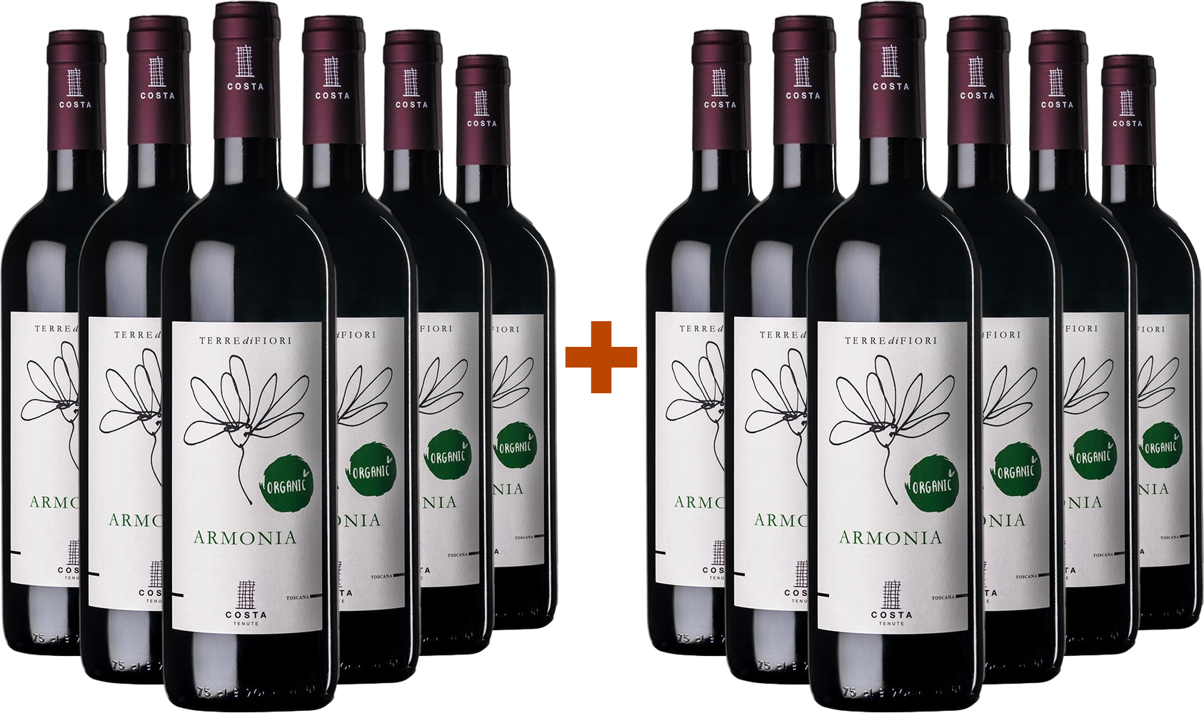 6+6 Terredifiori Armonia Toscana IGP