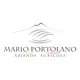 Mario Portolano