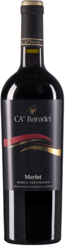 2024 Merlot Marca Trevigiana IGP