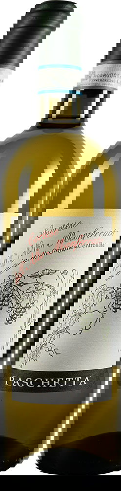 2022 Cortese dell’alto Monferrato DOC