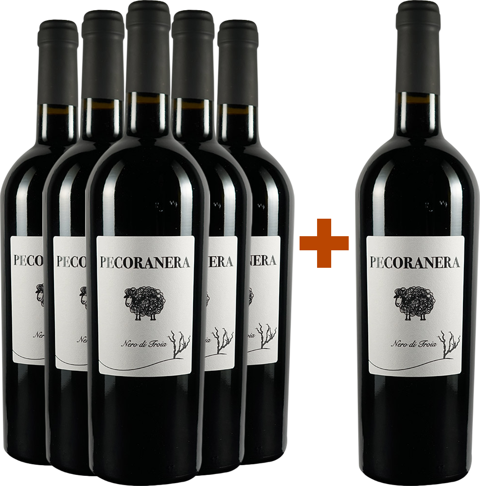 5+1 Pecoranera Puglia IGP