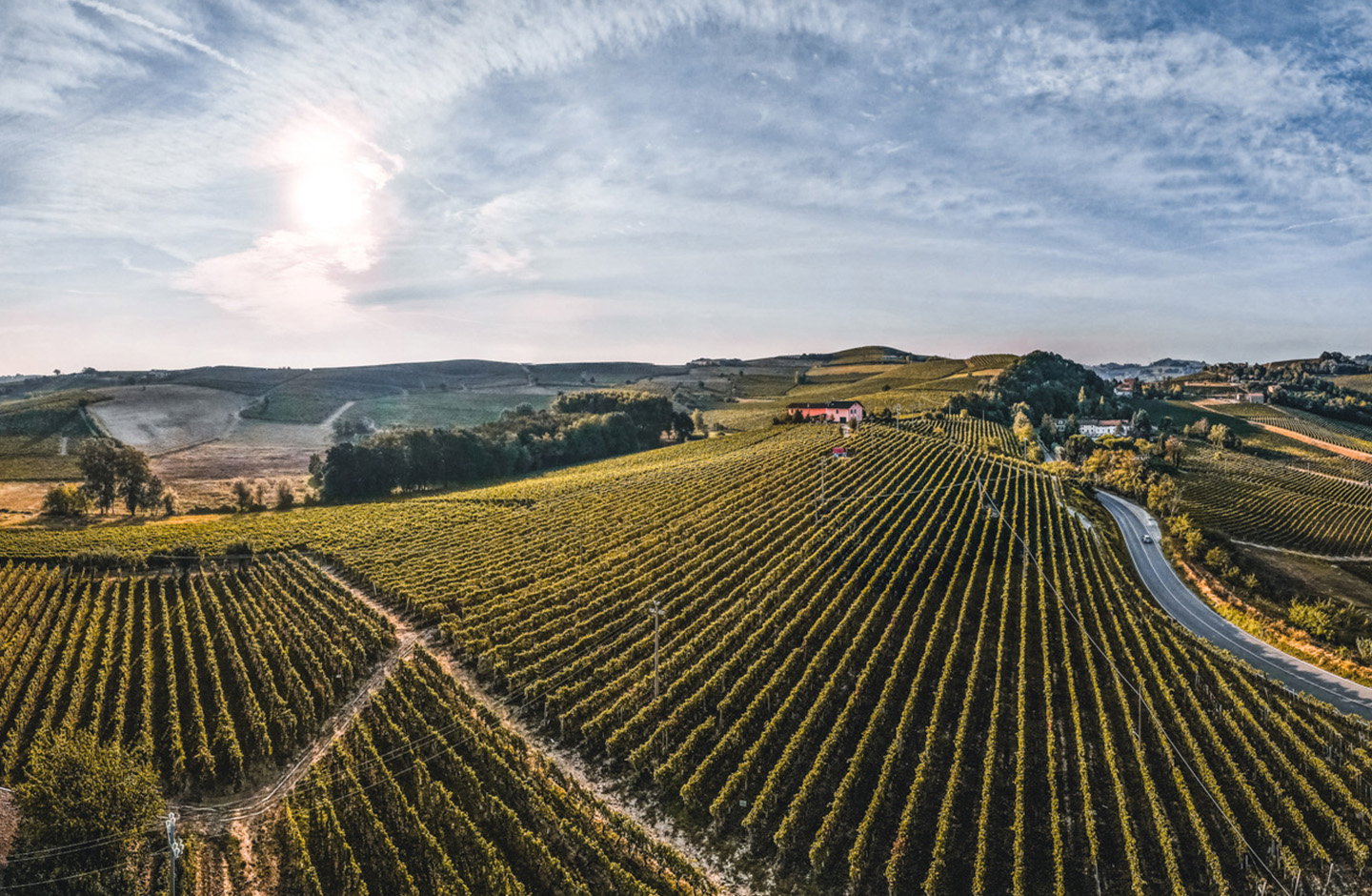 Vigneti del Nizza DOCG nel cuore delle colline astigiane