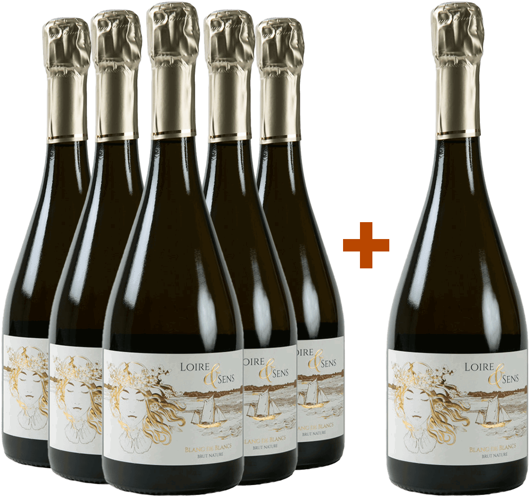 5+1 "Loire & Sens" Crémant de Loire AOP