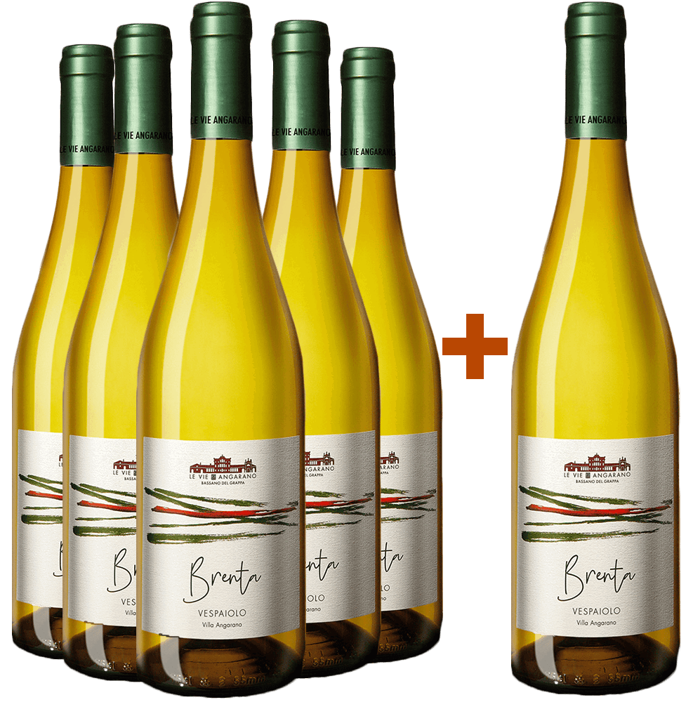 5+1 Brenta Breganze Vespaiolo DOC BIO