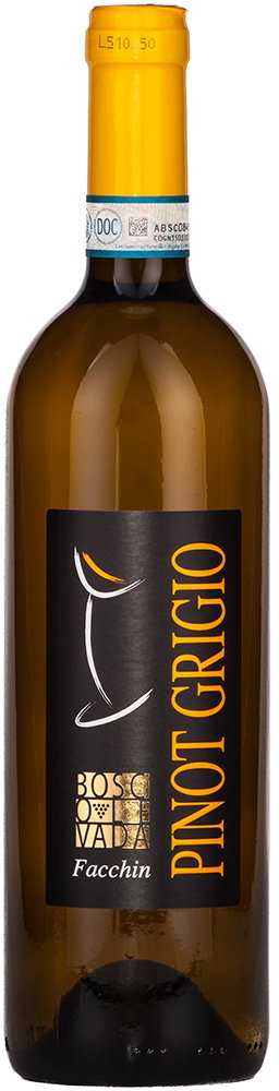 2023 Pinot Grigio Venezia DOC reflection