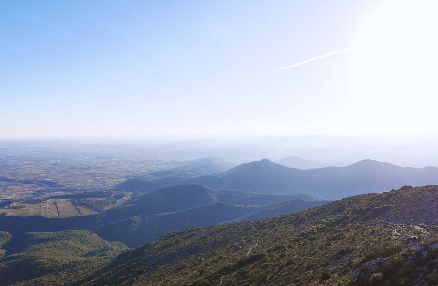 Paesaggio collinare della zona vinicola Saint-Guilhem-le-Désert IGP