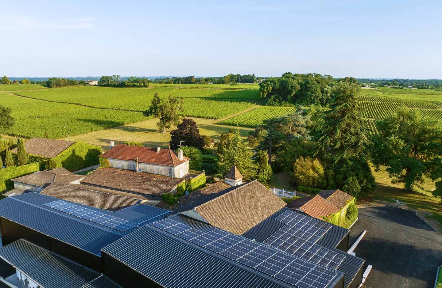 Panorama sui vigneti della denominazione Saint-Émilion