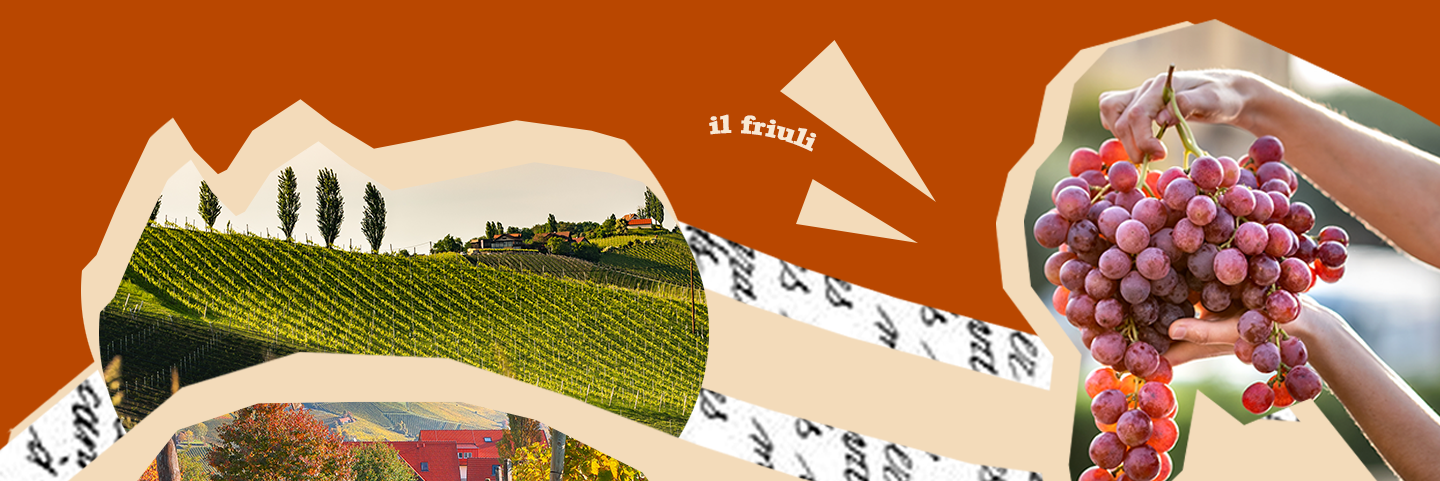 Banner descrittivo dei vini del Friuli