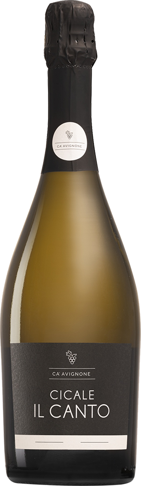 2022 Il Canto Veneto IGP BIO