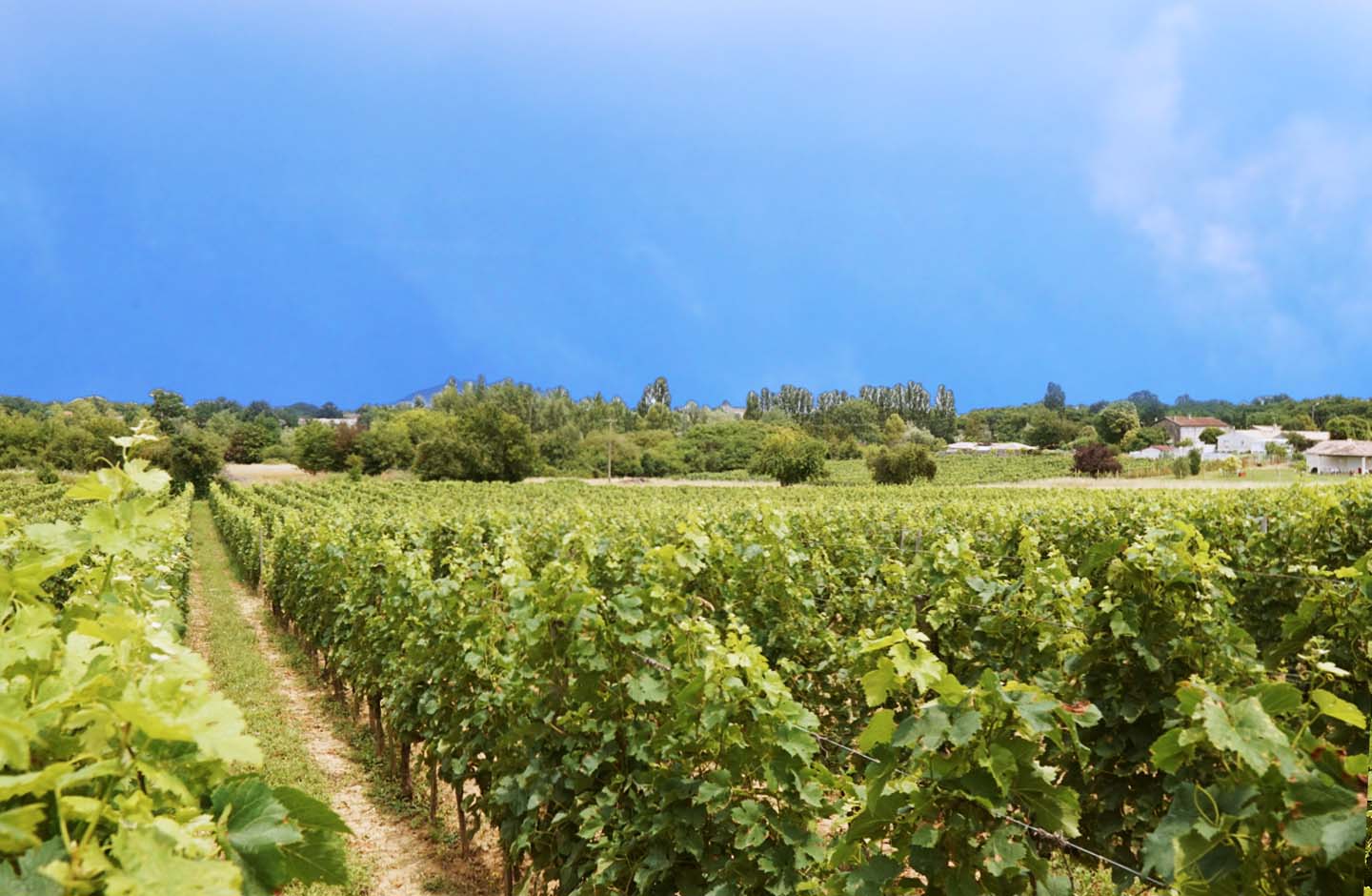 Domaine de l'Entre deux Mondes