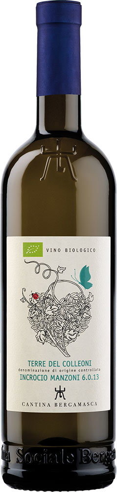 2023 Incrocio Manzoni Terre del Colleoni DOC BIO