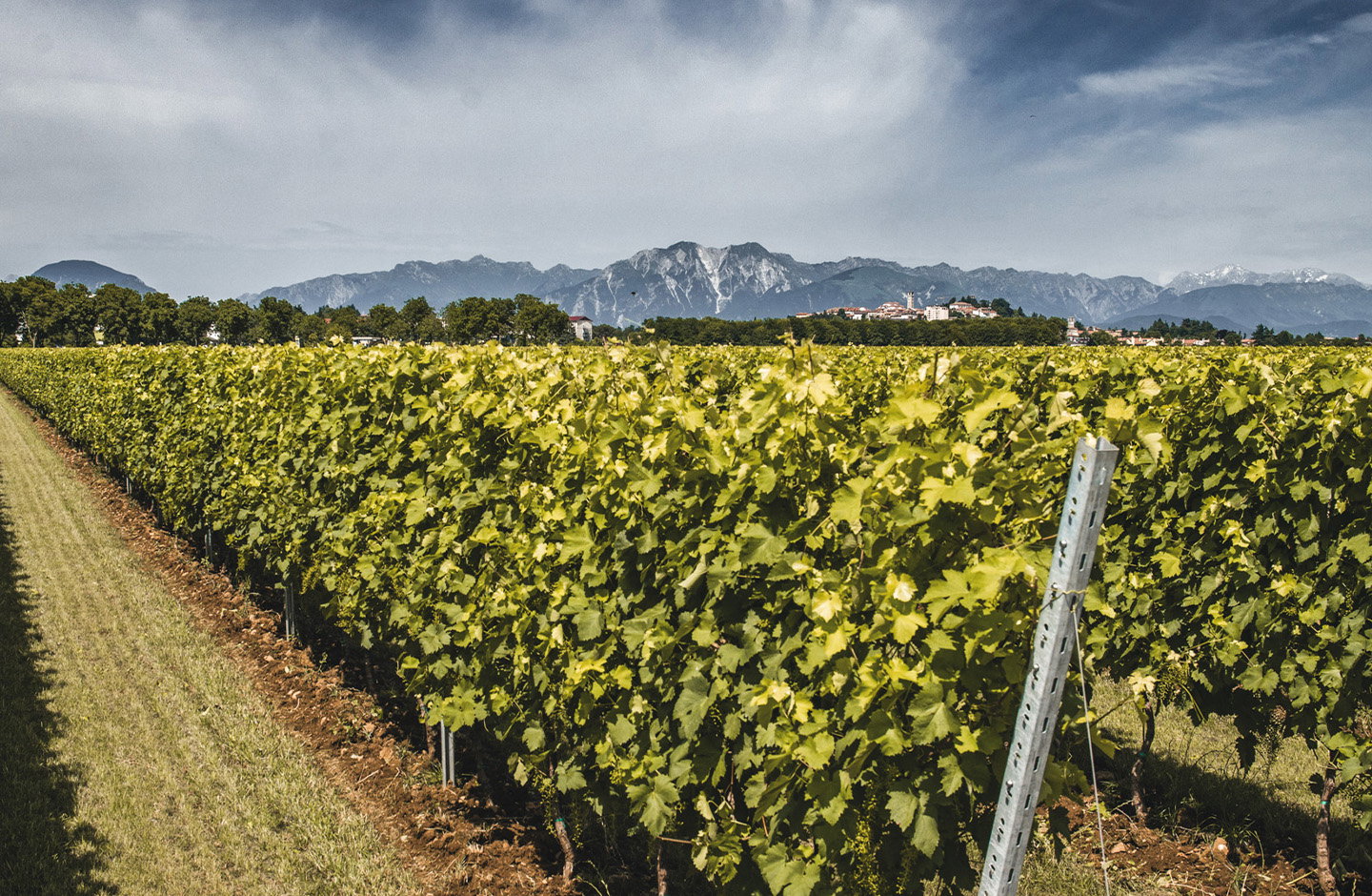 Truant