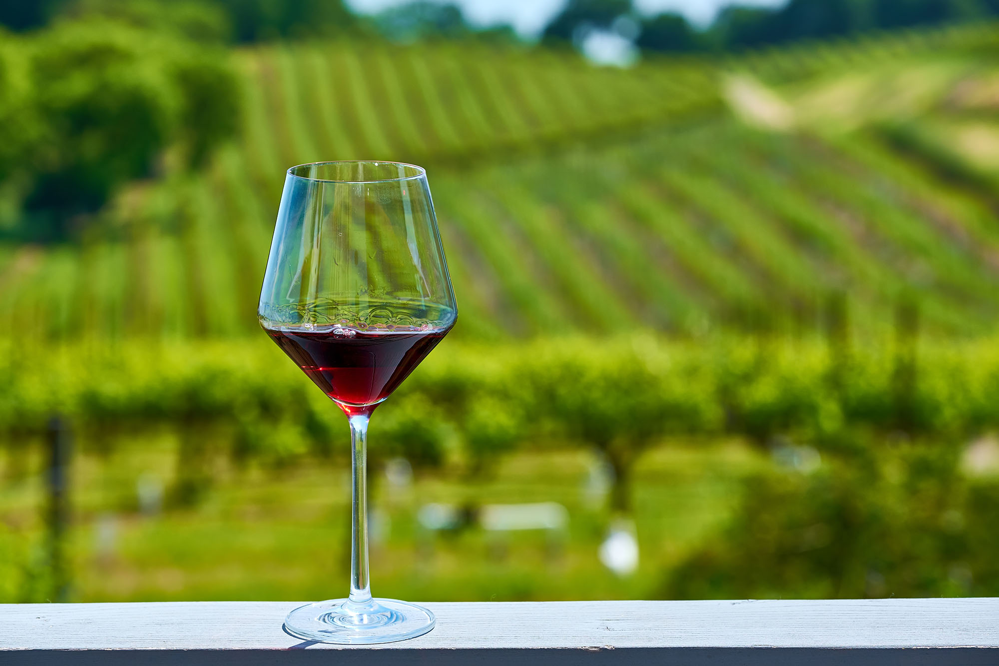 Bicchiere di vino rosso davanti ai filari di un vigneto, atmosfera delle regioni vinicole di Francia