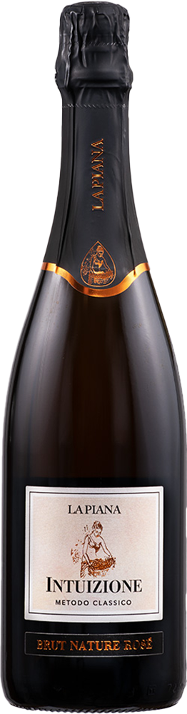 2020 Intuizione Lambrusco Grasparossa di Castelvetro DOC BIO