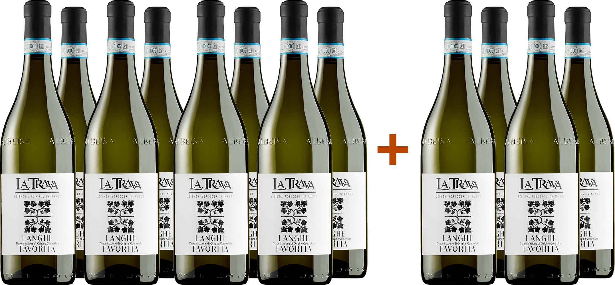 8+4 Langhe Favorita DOC