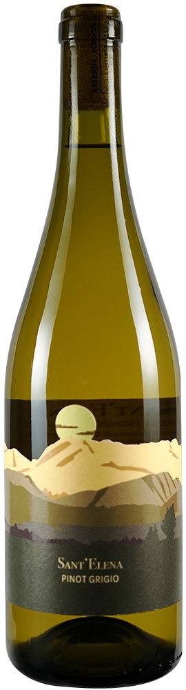 2023 Pinot Grigio Friuli Isonzo DOC BIO