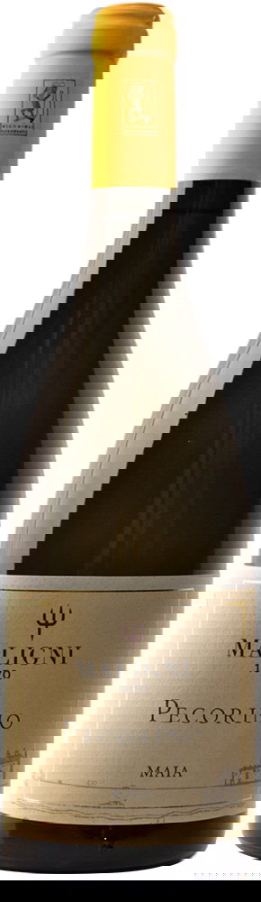 2023 Maia Pecorino Colline Teatine IGP