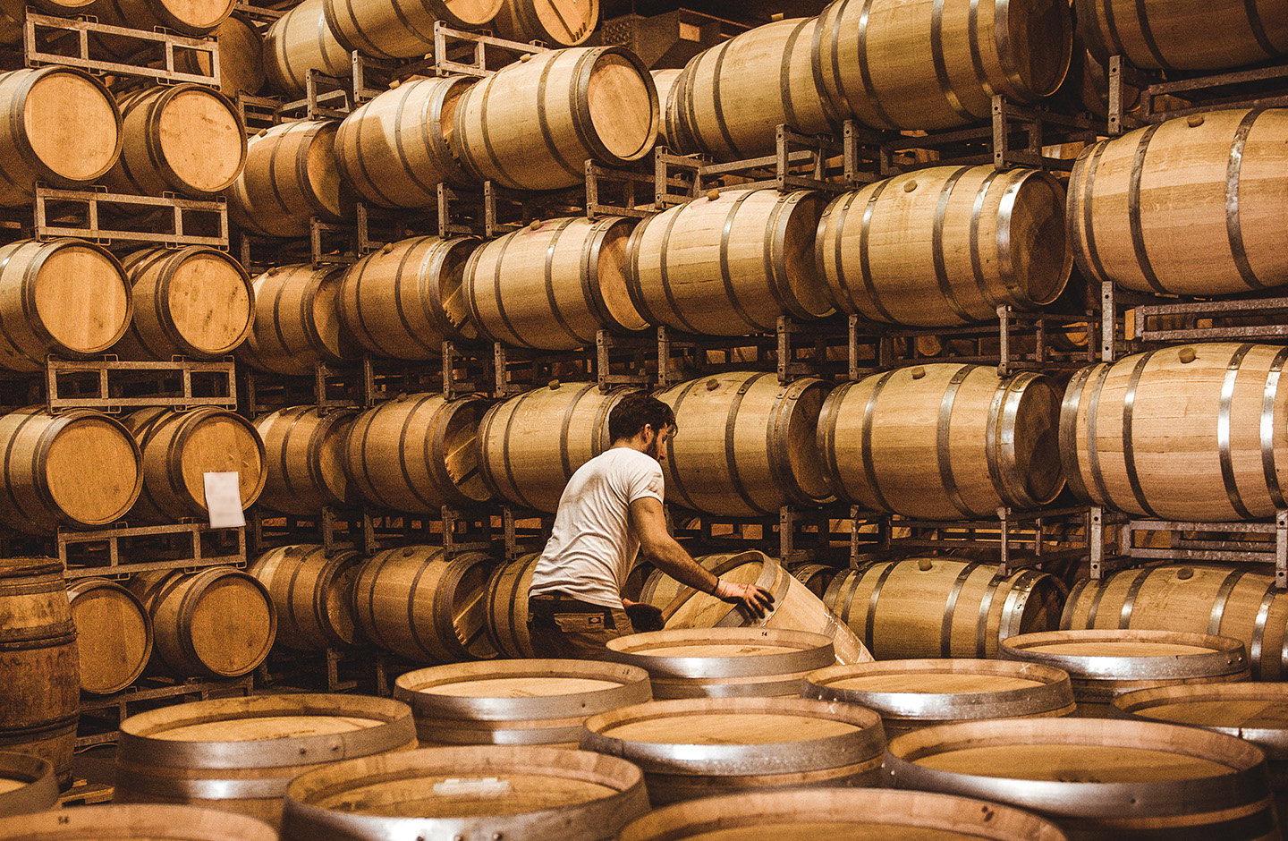 Magazzino di una cantina dove sono presenti barili di vino