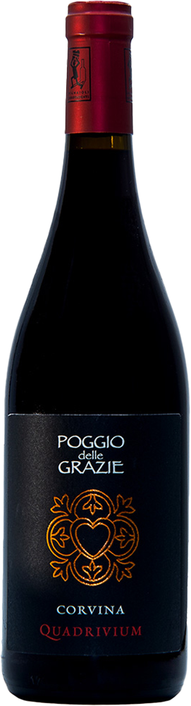 2020 Quadrivium Corvina Verona IGP BIO