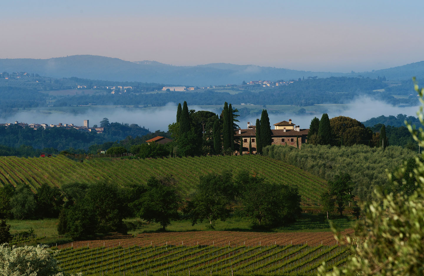 Tenuta Sette Ponti