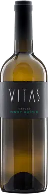 2025 Pinot Grigio Friuli DOC