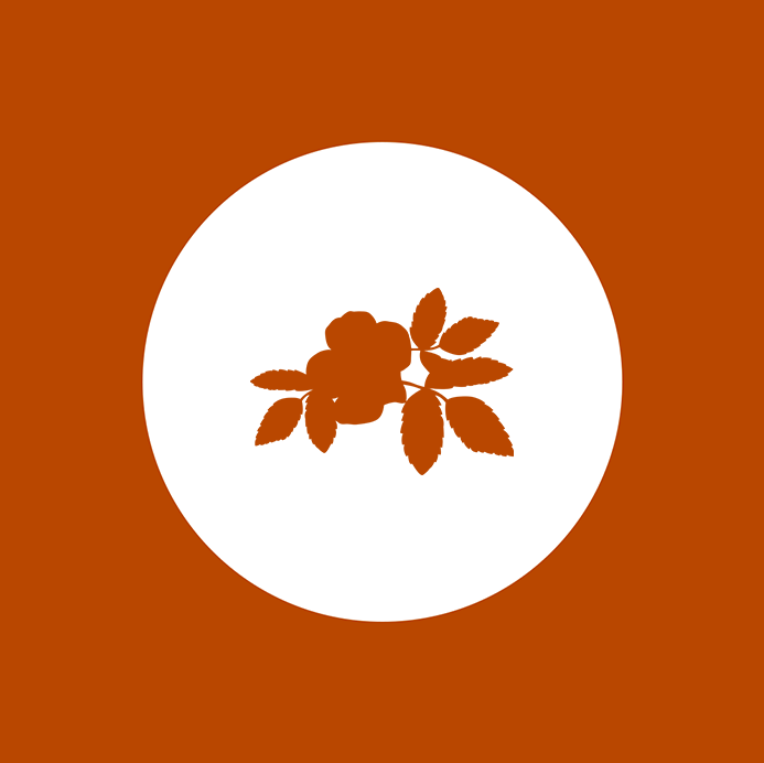 primavera