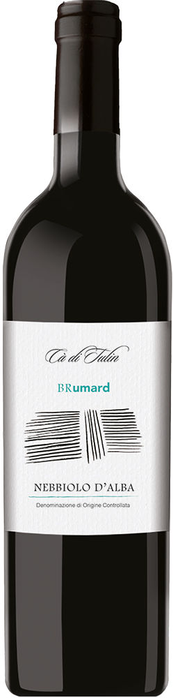 2020 Nebbiolo d’Alba DOC