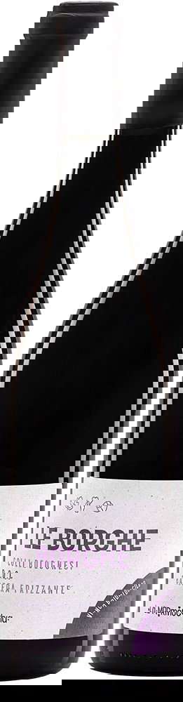 2024 Le Borghe Colli Bolognesi Barbera DOC BIO