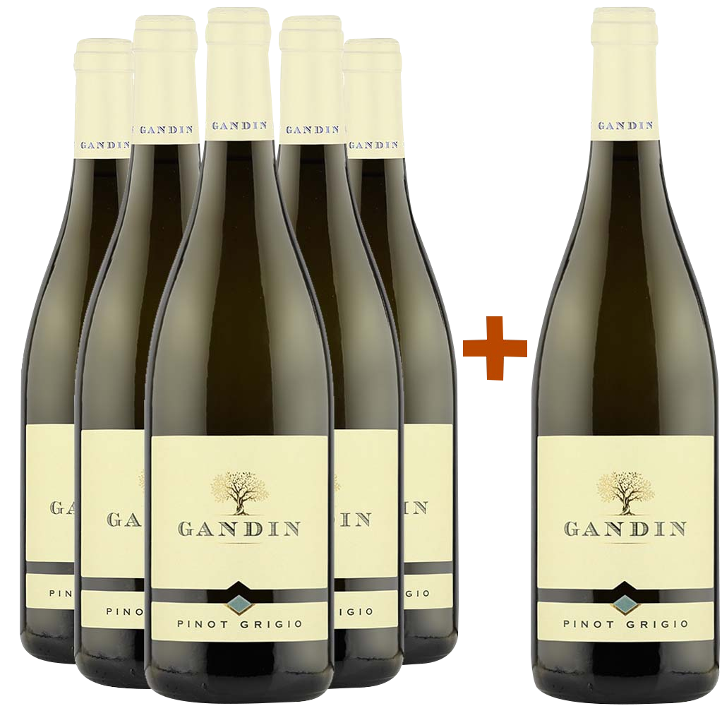 5+1 Pinot Grigio Friuli Isonzo DOC