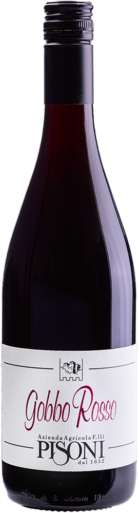 2024 Gobbo Teroldego Vigneti delle Dolomiti IGP BIO