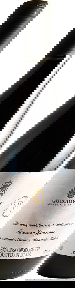 2019 "P" Perricone BIO