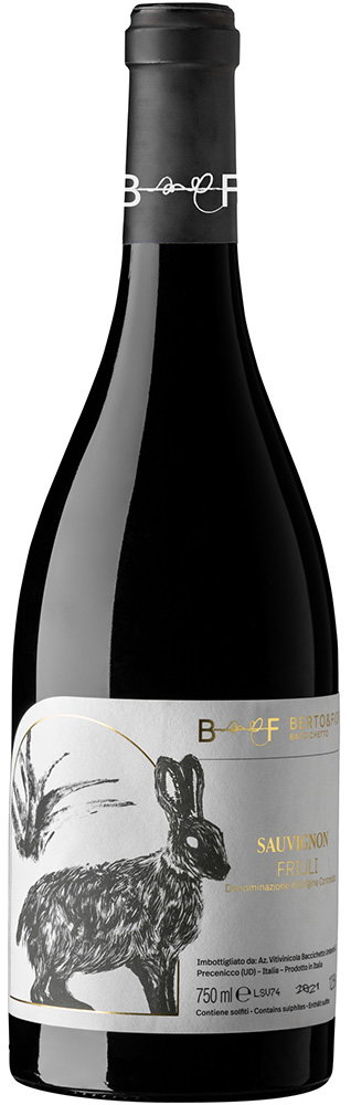 2023 Sauvignon Friuli DOC