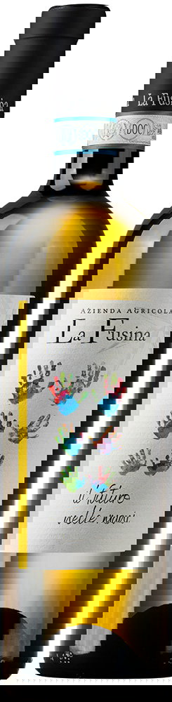 2024 Langhe Sauvignon DOC