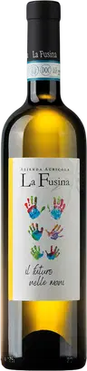 2025 Langhe Sauvignon DOC