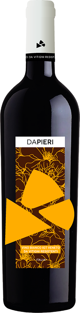 2024 Vino PIWI Soreli Veneto IGP