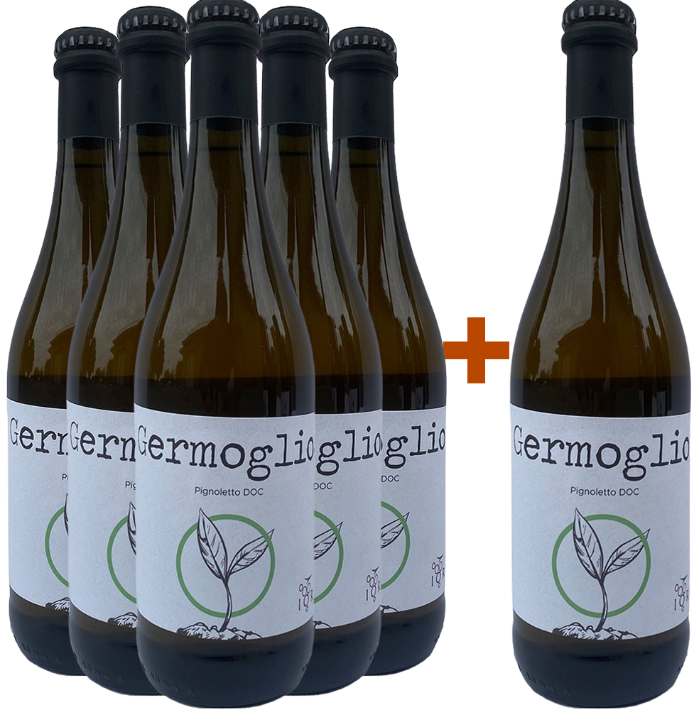 5+1 Germoglio Pignoletto DOC