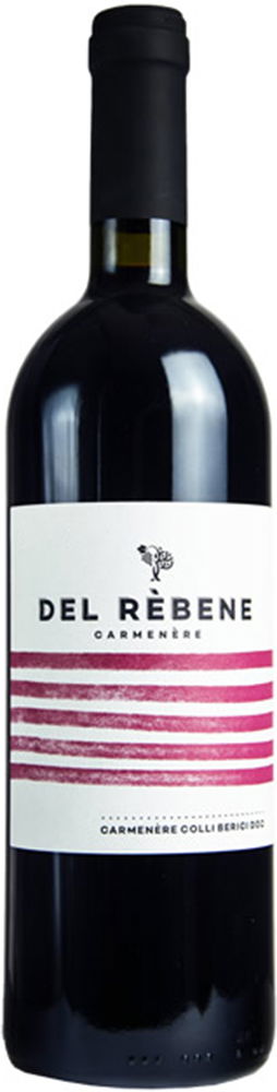 2019 Carmenere Colli Berici DOC