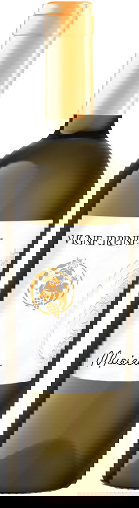 2024 Musica Falanghina Campania IGP