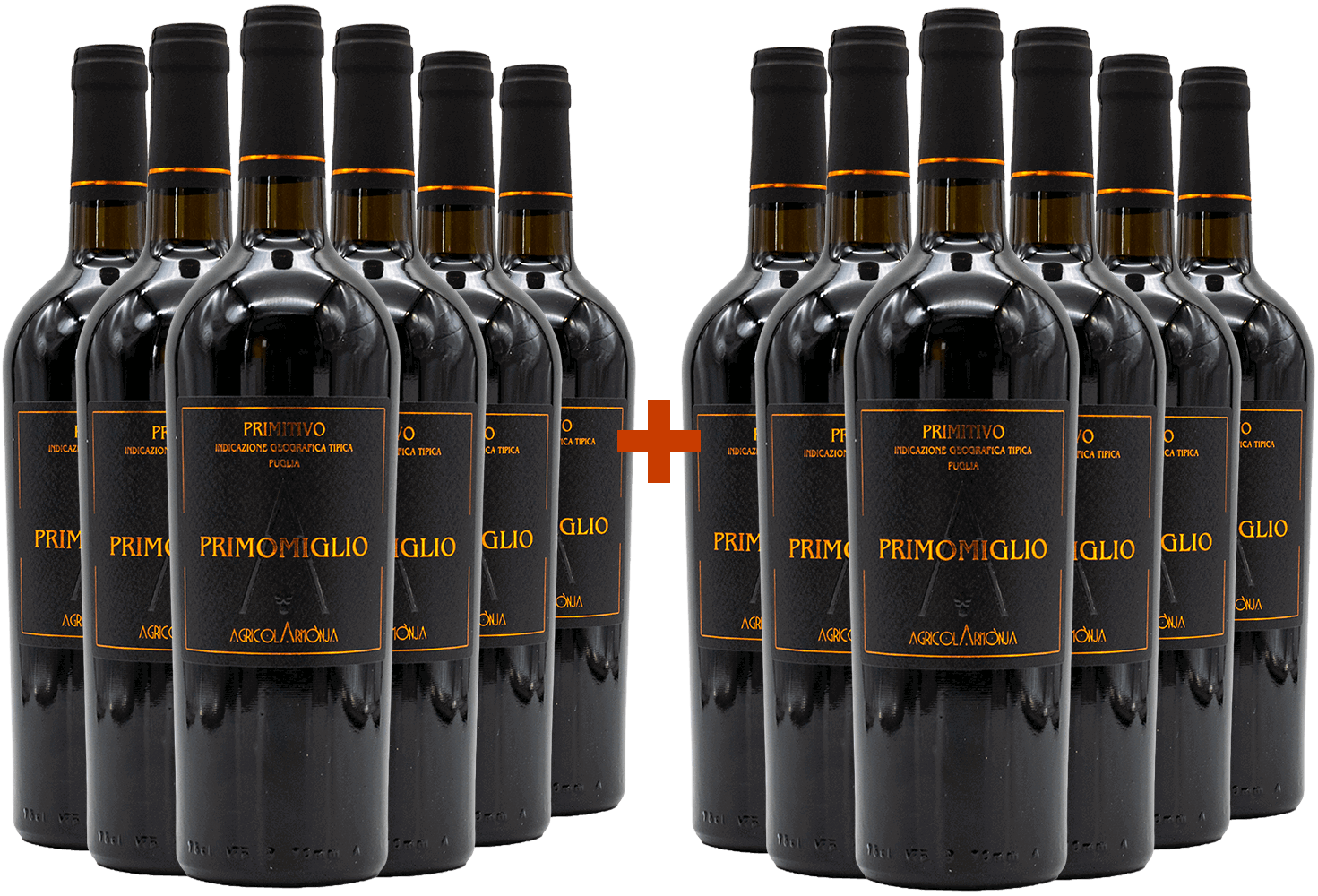 6+6 Primomiglio Puglia IGP